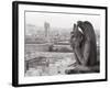 Gargoyle Statue at a Cathedral, Notre Dame, Paris, Ile-De-France, France-null-Framed Photographic Print