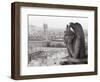 Gargoyle Statue at a Cathedral, Notre Dame, Paris, Ile-De-France, France-null-Framed Photographic Print