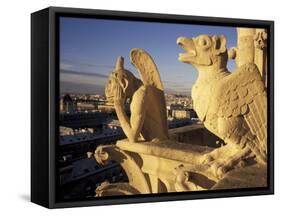 Gargoyles of the Notre Dame Cathedral, Paris, France-David Barnes-Framed Stretched Canvas