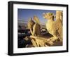 Gargoyles of the Notre Dame Cathedral, Paris, France-David Barnes-Framed Premium Photographic Print