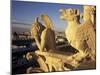 Gargoyles of the Notre Dame Cathedral, Paris, France-David Barnes-Mounted Premium Photographic Print
