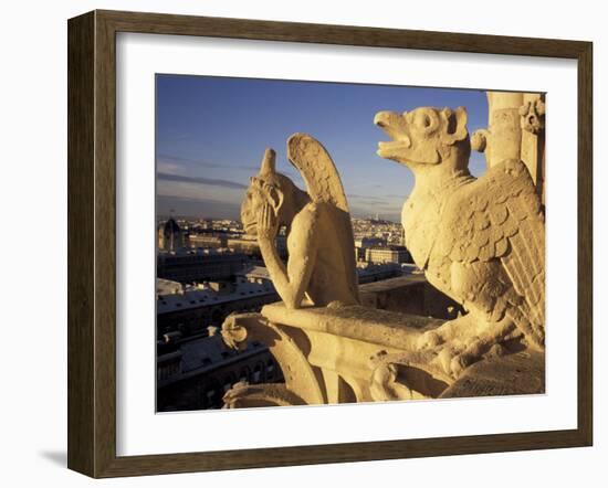 Gargoyles of the Notre Dame Cathedral, Paris, France-David Barnes-Framed Photographic Print