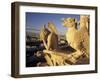 Gargoyles of the Notre Dame Cathedral, Paris, France-David Barnes-Framed Photographic Print