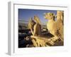 Gargoyles of the Notre Dame Cathedral, Paris, France-David Barnes-Framed Photographic Print