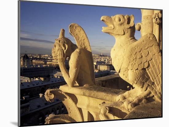 Gargoyles of the Notre Dame Cathedral, Paris, France-David Barnes-Mounted Photographic Print