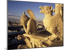 Gargoyles of the Notre Dame Cathedral, Paris, France-David Barnes-Mounted Photographic Print