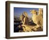 Gargoyles of the Notre Dame Cathedral, Paris, France-David Barnes-Framed Photographic Print