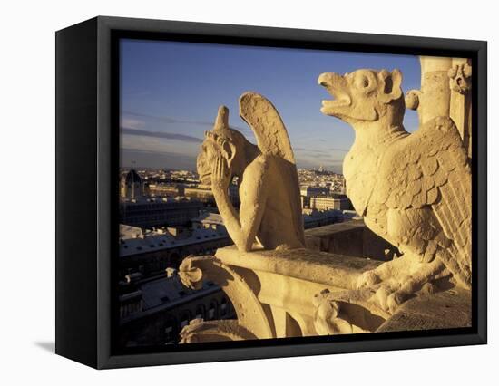 Gargoyles of the Notre Dame Cathedral, Paris, France-David Barnes-Framed Stretched Canvas