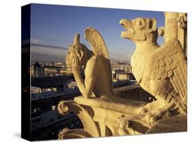 Gargoyles of the Notre Dame Cathedral, Paris, France-David Barnes-Stretched Canvas