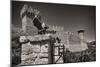 Gargoyles On A Castle Wall-George Oze-Mounted Photographic Print