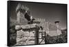 Gargoyles On A Castle Wall-George Oze-Framed Stretched Canvas