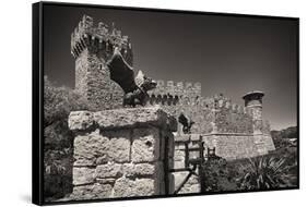 Gargoyles On A Castle Wall-George Oze-Framed Stretched Canvas