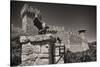 Gargoyles On A Castle Wall-George Oze-Stretched Canvas