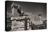 Gargoyles On A Castle Wall-George Oze-Stretched Canvas