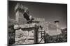 Gargoyles On A Castle Wall-George Oze-Mounted Premium Photographic Print