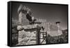 Gargoyles On A Castle Wall-George Oze-Framed Stretched Canvas