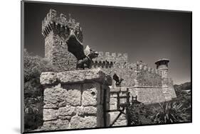 Gargoyles On A Castle Wall-George Oze-Mounted Photographic Print