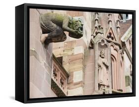 Gargoyles on Freiburg Cathedral, Freiburg, Baden-Wurttemberg, Germany, Europe, Europe-Christian Kober-Framed Stretched Canvas