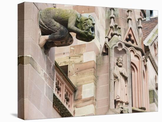 Gargoyles on Freiburg Cathedral, Freiburg, Baden-Wurttemberg, Germany, Europe, Europe-Christian Kober-Stretched Canvas