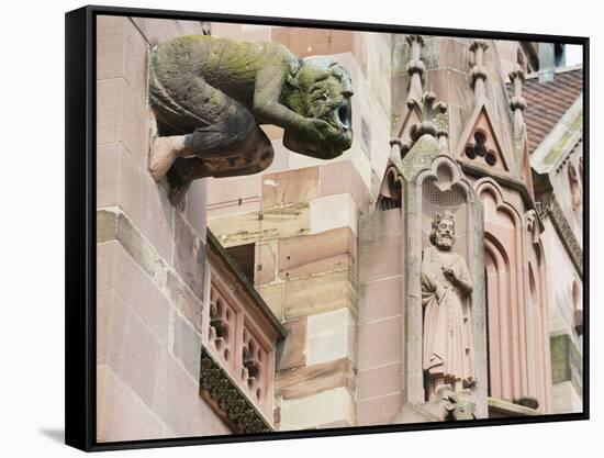 Gargoyles on Freiburg Cathedral, Freiburg, Baden-Wurttemberg, Germany, Europe, Europe-Christian Kober-Framed Stretched Canvas