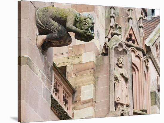 Gargoyles on Freiburg Cathedral, Freiburg, Baden-Wurttemberg, Germany, Europe, Europe-Christian Kober-Stretched Canvas