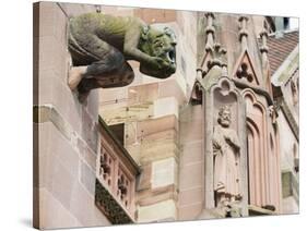 Gargoyles on Freiburg Cathedral, Freiburg, Baden-Wurttemberg, Germany, Europe, Europe-Christian Kober-Stretched Canvas