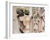 Gargoyles on Freiburg Cathedral, Freiburg, Baden-Wurttemberg, Germany, Europe, Europe-Christian Kober-Framed Premium Photographic Print