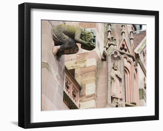 Gargoyles on Freiburg Cathedral, Freiburg, Baden-Wurttemberg, Germany, Europe, Europe-Christian Kober-Framed Photographic Print