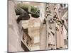 Gargoyles on Freiburg Cathedral, Freiburg, Baden-Wurttemberg, Germany, Europe, Europe-Christian Kober-Mounted Photographic Print