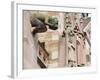 Gargoyles on Freiburg Cathedral, Freiburg, Baden-Wurttemberg, Germany, Europe, Europe-Christian Kober-Framed Photographic Print