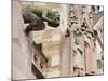 Gargoyles on Freiburg Cathedral, Freiburg, Baden-Wurttemberg, Germany, Europe, Europe-Christian Kober-Mounted Photographic Print