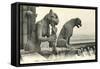 Gargoyles on Notre Dame-null-Framed Stretched Canvas