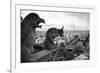 Gargoyles-Chris Bliss-Framed Photographic Print