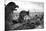 Gargoyles-Chris Bliss-Mounted Photographic Print