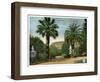 Garibaldi Garden, Palermo, Sicily, Italy, Early 20th Century-null-Framed Giclee Print