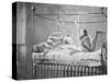 Garibaldi in Bed-Giovanni Morotti-Stretched Canvas