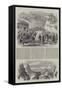 Garibaldi's March Through Calabria-Frank Vizetelly-Framed Stretched Canvas