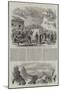 Garibaldi's March Through Calabria-Frank Vizetelly-Mounted Giclee Print