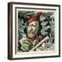 Garibaldi (Stock)-null-Framed Art Print