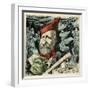 Garibaldi (Stock)-null-Framed Art Print