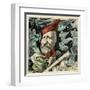 Garibaldi (Stock)-null-Framed Art Print