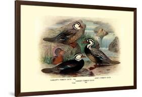 Garlepp'S, Jame's and Turner's Torrent Ducks-Henrick Gronvold-Framed Art Print