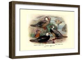 Garlepp'S, Jame's and Turner's Torrent Ducks-Henrick Gronvold-Framed Premium Giclee Print