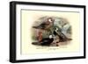 Garlepp'S, Jame's and Turner's Torrent Ducks-Henrick Gronvold-Framed Premium Giclee Print