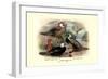 Garlepp'S, Jame's and Turner's Torrent Ducks-Henrick Gronvold-Framed Premium Giclee Print