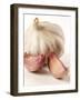 Garlic and Garlic Cloves-Joff Lee Studios-Framed Photographic Print