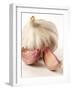 Garlic and Garlic Cloves-Joff Lee Studios-Framed Photographic Print