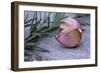 Garlic And Rosemary-Maxine Adcock-Framed Photographic Print