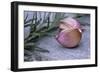 Garlic And Rosemary-Maxine Adcock-Framed Photographic Print