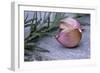 Garlic And Rosemary-Maxine Adcock-Framed Photographic Print